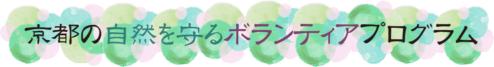 京都の自然を守るボランティアプログラム