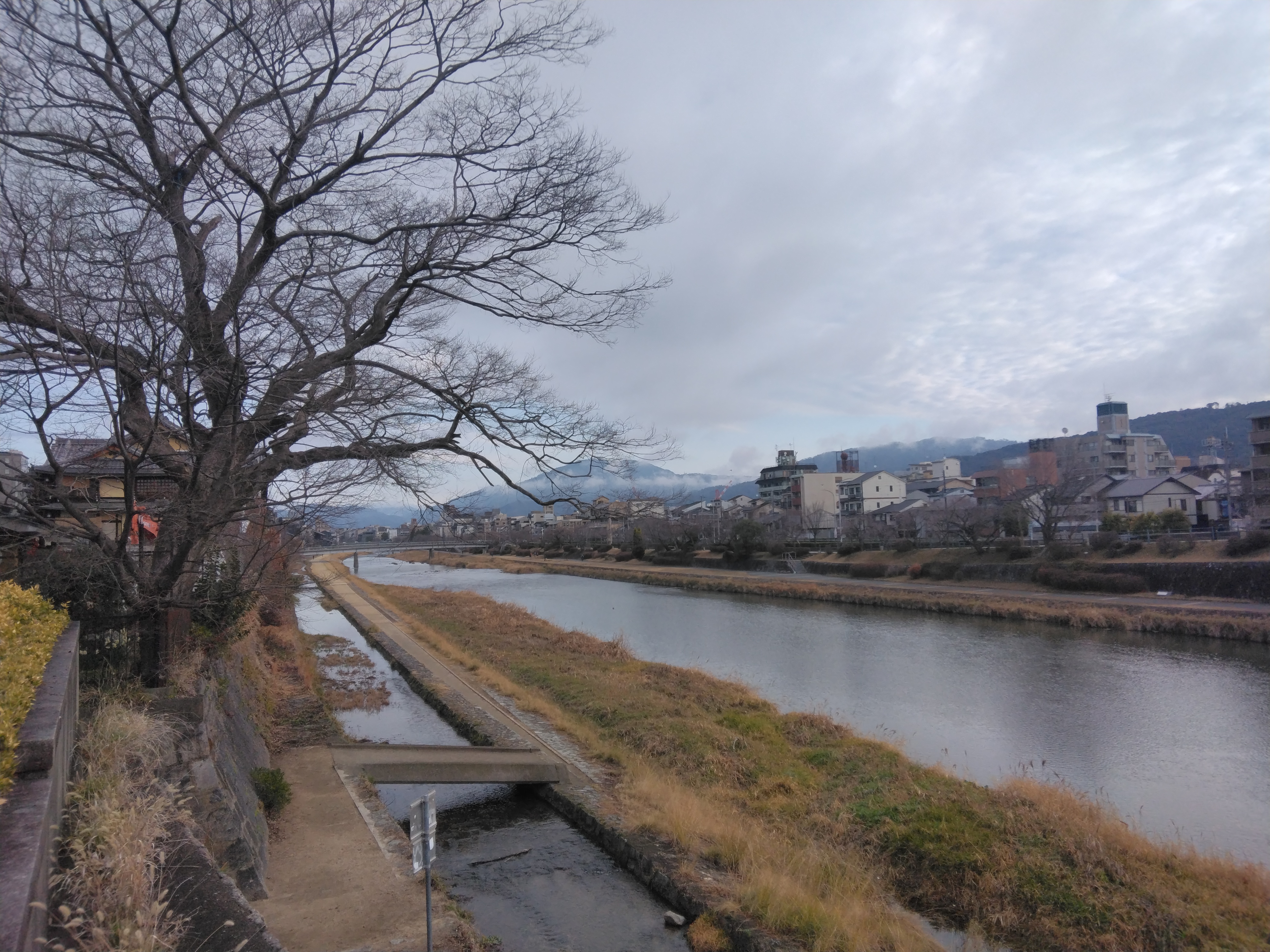 ドレミラン＆ウォーク