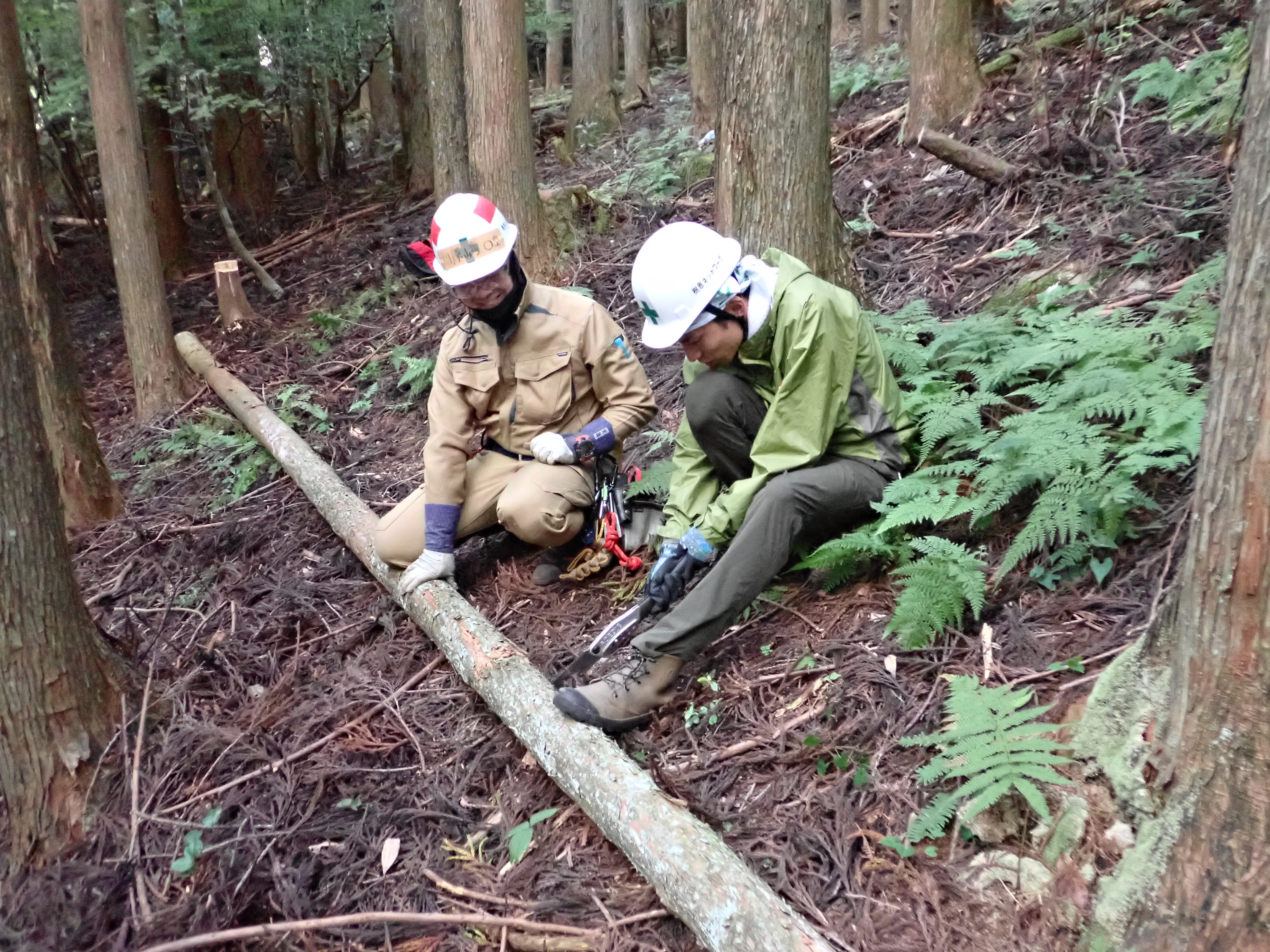 清流の森 森林の楽校 2024