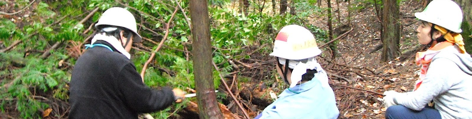 キノコの森　森林の楽校 2025 【森林作業体験】