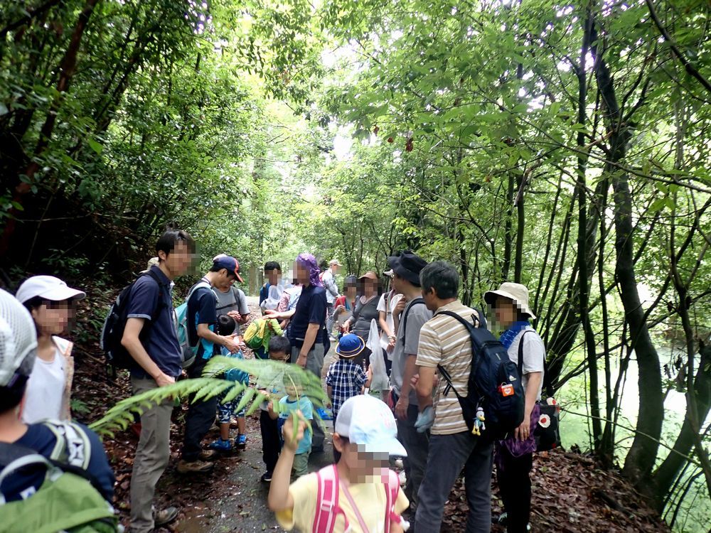 第 475 回観察会　紅葉・黄葉を観察しよう