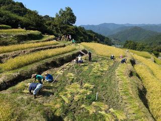 熊野の棚田　田畑の楽校 2026【農作業体験】