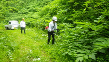 【登山道整備体験】そばの里 森林の楽校 2026 夏