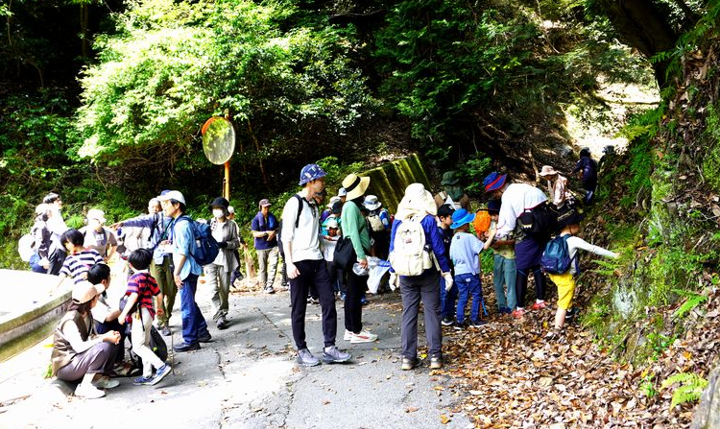 京都自然教室 第 487 回ひっつきむしの観察